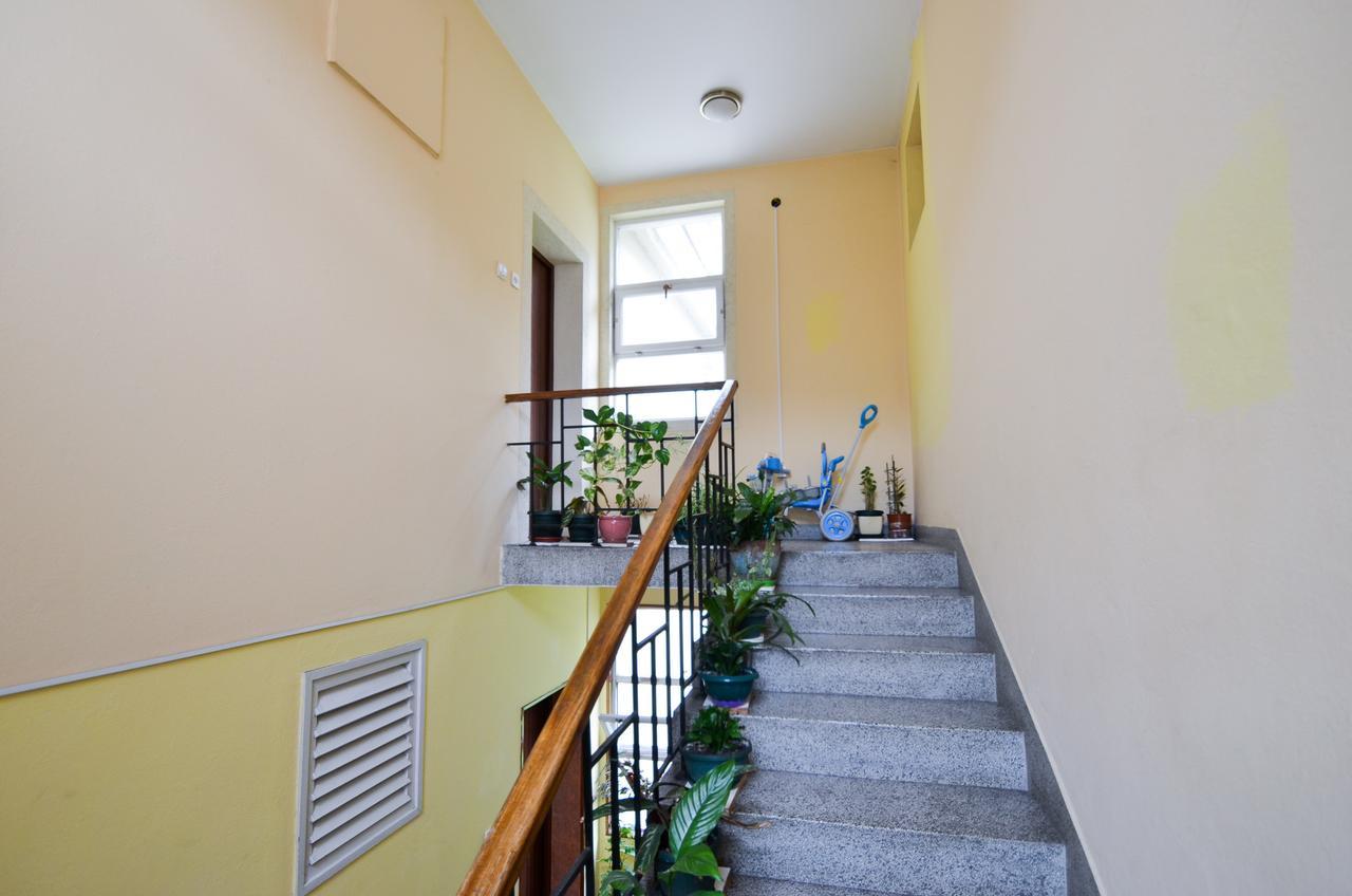 Central Apartment コトル エクステリア 写真