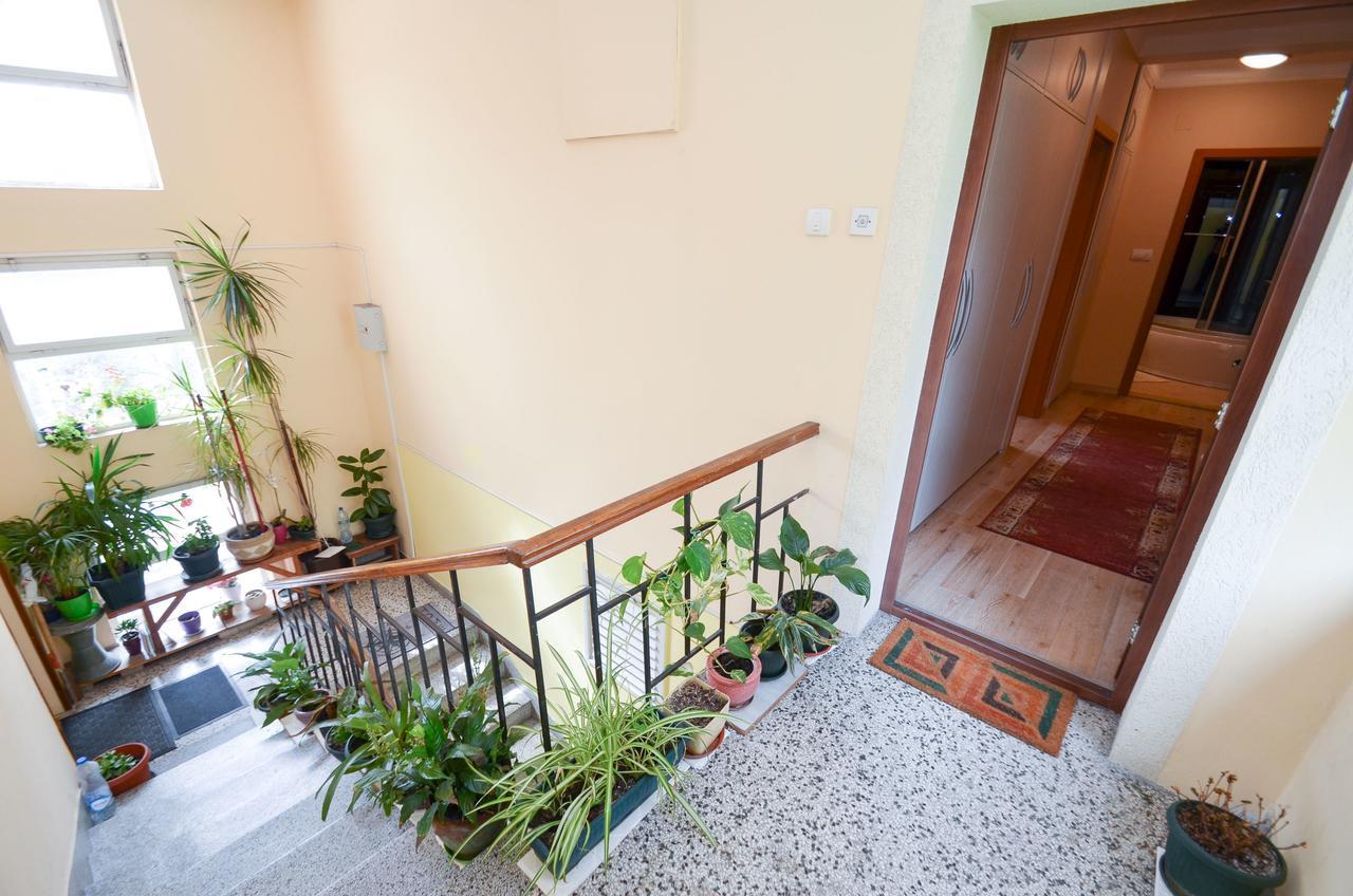 Central Apartment コトル エクステリア 写真